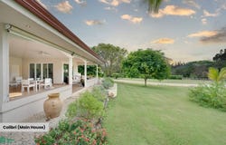 Colibri and Lorito , Cartagena, Santa Cruz, Guanacaste, Santa Cruz, Guanacaste