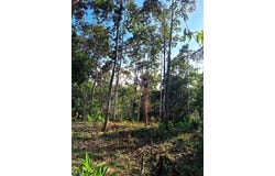 Punta Uva, Cahuita, Limon 000696