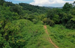 19 Acre Riverfront Lot with Private Waterfall la Perla Dominical, Dominical, Puntarenas