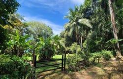 Bahía Ballena, Osa, Puntarenas, Osa, Puntarenas 60504