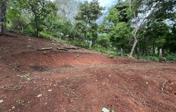 Matapalo , Cabo Velas, Santa Cruz, Guanacaste, Santa Cruz, Guanacaste 50308