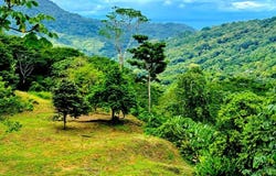 Lagunas, Osa, Puntarenas, Osa, Puntarenas