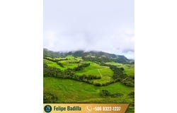 San Ramón, Alajuela 20201