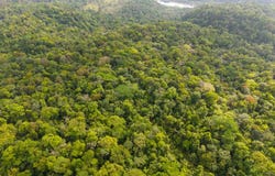 Finca Gran Bijagua: Breathtaking 10-Hectare Mountain Sanctuary in Bijagua, Costa Rica, Bijagua, Alajuela 21304