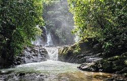 Unnamed Road, Savegre de Aguirre, Puntarenas Province