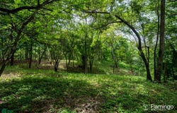 Junquillal Lot , Veintisiete de Abril, Santa Cruz, Guanacaste, Santa Cruz, Guanacaste