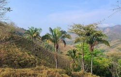 Prestige Finca in Cuesta Grande - 60 Ha / Views , Belén de Nosarita, Nicoya, Guanacaste, Nicoya, Guanacaste 50207