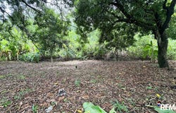Playa Palo Seco, Parrita, Parrita, Puntarenas, Parrita, Puntarenas