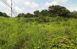 Gravel-Reinforced Lot for Sale with Direct Frontage on High-Traffic Route 21, Guardia, Guanacaste