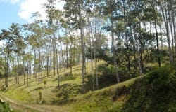 Chachagua Costa Rica near La Fortuna, San Carlos - La Fortuna, Alajuela, San Carlos - La Fortuna, Alajuela