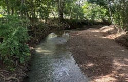 Coyolito, Manzanillo, Puntarenas, Agua Buena, Puntarenas, Agua Buena, Puntarenas