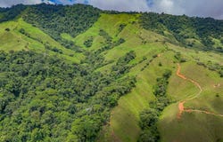 Costa Rica, Puntarenas, Osa, Buenos Aires, Puntarenas, Buenos Aires, Puntarenas