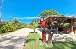 VFM6+54, Sámara, Guanacaste Province