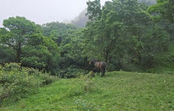 Cartago, Guarco, Vara del Roble, El Guarco, Cartago, El Guarco, Cartago