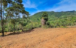 Finca 42 acres , San Isidro del General, Perez Zeledon, San Jose, Perez Zeledon, San Jose 20204