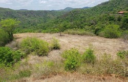Sardinal- Vista Pacific Heights Development Parcel , Sardinal, Carrillo, Guanacaste, Carrillo, Guanacaste 50503