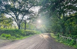Sonzapote , La Cruz, La Cruz, Guanacaste, La Cruz, Guanacaste