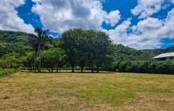 X8WG+R7, Provincia de Guanacaste, Santa Cruz, Costa Rica, Santa Cruz, Guanacaste Province