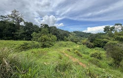 19 Acre Riverfront Lot with Private Waterfall la Perla Dominical, Dominical, Puntarenas