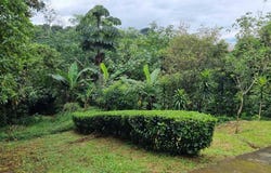 Sarchí Norte, Valverde Vega, Alajuela, Alajuela