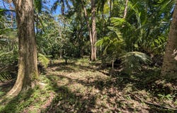 Golfito>Pavones, Pavones, Puntarenas, Pavones, Puntarenas