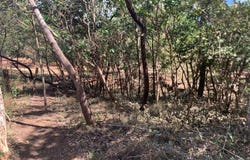 Santa Rosa , Tamarindo, Santa Cruz, Guanacaste, Santa Cruz, Guanacaste 50309