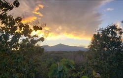 Jungle Retreat with Modern Comforts Near San José â€“ $345, 000: Tropical Retreat with Jungle Views, Orotina, Alajuela 20901