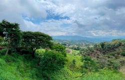 20506 Barrio Jesús, San Isidro, Atenas, Alajuela, Atenas, Alajuela