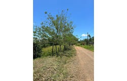 San Joaquin, San Carlos, Alajuela, San Carlos, Alajuela