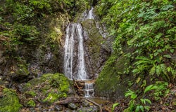 Golfito, Puntarenas, Mogos, Puntarenas, Mogos, Puntarenas