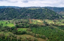 Montelimar s/n, San Juan de Mata, Turrubares, San Jose, Turrubares, San Jose 11605