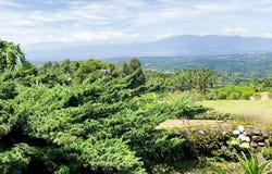 Sabana Redonda, Poas, Alajuela, Alajuela