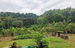 La Mona Golfito, Golfito, Puntarenas, Golfito, Puntarenas