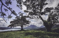 San Ramon El Castillo, Penas Blancas, Alajuela, Texas 77406
