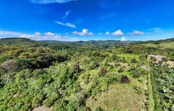 Lot Los Pinos , Platanares, Perez Zeledon, San Jose, Perez Zeledon, San Jose 11906