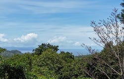 Exquisite Jungle property with Ocean View | Gated Community in Ojochal 3Exquisite Jungle property with Ocean View | Gated Community in Ojochal 3 Puerta Del Sol, Ojochal, Puntarenas, Costa Rica, Ojochal, Puntarenas