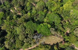Exceptional 71-Acre Ocean View & Riverfront Development Property in Hatillo, Dominical , Dominical, Osa, Puntarenas, Osa, Puntarenas 60602