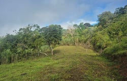 Propiedad en San Blas: Mountain Agricultural Land For Sale in La Linda General Viejo, La Linda General Viejo, San José