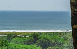 Calle Paraiso , Puerto Cortés, Osa, Puntarenas, Osa, Puntarenas 60501