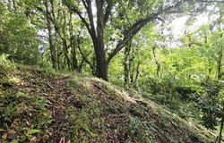 FINCA EN EL CERRO | EL GUARCO: Mountain Agricultural Land For Sale in Cartago, Cartago, Cartago