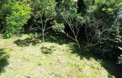 La Dominica s/n, Turrialba, Turrialba, Cartago, Turrialba, Cartago 30501