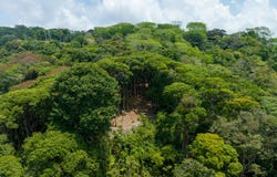 Finca Pacífica Barú, Savegre de Aguirre, Puntarenas Province