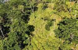 FINCA SANTA MARí�A, Pí‰REZ ZELEDí“N.: Mountain Agricultural Land For Sale in Cajón, Cajón, San José
