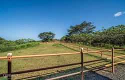 Finca Sweet Prince - A Private Equestrian Estate of Unmatched Elegance , Tárcoles, Garabito, Puntarenas, Garabito, Puntarenas 61102