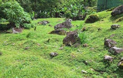 Cedral de Cajón, Pérez Zeledón, Pérez Zeledón, San José, Pérez Zeledón, San José