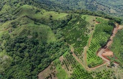 Maquenco Finca Naranja - 7.9 ha Orange Orchard with Views , Belén de Nosarita, Nicoya, Guanacaste, Nicoya, Guanacaste 50207