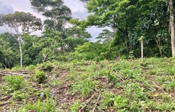 Golfito>Pavones, Pavones, Puntarenas, Pavones, Puntarenas