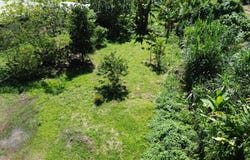Yapirí s/n, Turrialba, Turrialba, Cartago, Turrialba, Cartago 30501