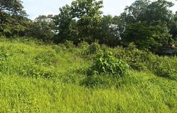 Gravel-Reinforced Lot for Sale with Direct Frontage on High-Traffic Route 21, Guardia, Guanacaste