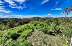 Lot Los Pinos , Platanares, Perez Zeledon, San Jose, Perez Zeledon, San Jose 11906